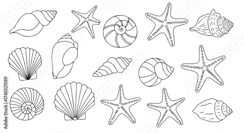 Seashells and starfish marine collection rendered in a clean flat 2D line art vector illustration, presented in a crisp black and white monochrome style.