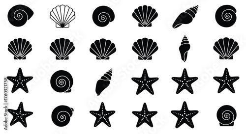 Black and white minimal vector illustration showing a collection of various seashells and starfish marine icons, suitable for summer and ocean themes.