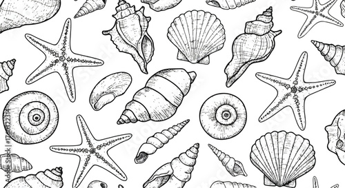 Detailed black and white vector illustration displaying a hand-sketched assortment of natural spiral seashells and textured starfish, evoking a vintage scientific study of coastal ocean life.