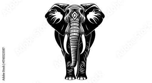 An intricate black and white illustration of an elephant's head featuring detailed tusks and expressive eyes.