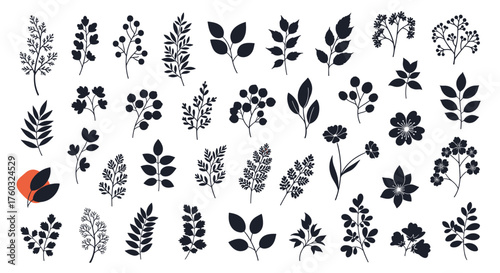 A collection of elegantly illustrated botanical elements and floral designs for creative projects.