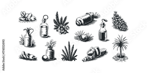 Botanical ingredients in glass containers with plants and fruit elements