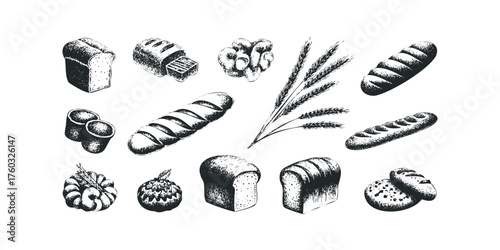 Assortment of freshly baked bread types and wheat stalks
