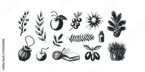 Botanical and Herbal Elements Collection