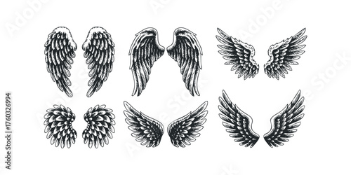 Collection of six different sketched wings on white background