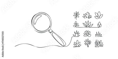 Magnifying glass and abstract plant sketches