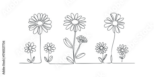 Minimalist line drawing of daisies in a row