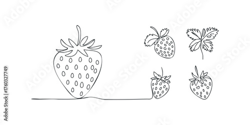 Collection of Line Art Strawberry Illustrations