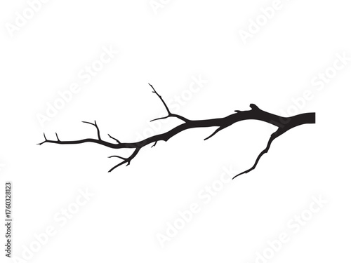 Bare Tree Branch Wood Texture Black Silhouette Forest Winter Vector