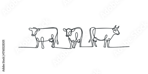 Three cows drawn with a single continuous black line