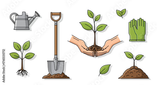 Gardening Tools and Seedlings for Planting and Growth.