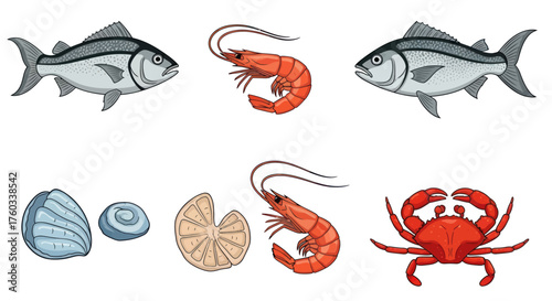 Assortment of Fresh Seafood and Shellfish Illustrations.