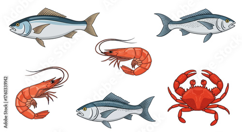 Collection of Fresh Seafood: Fish Shrimp and Crab Illustrations.