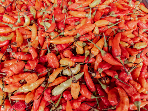 Bright red chilies drying in the sun. Red chili peppers ready for packaging. Spicy red chilies stacked for sale. Red chilies for culinary uses and spice. Freshly harvested red chili peppers