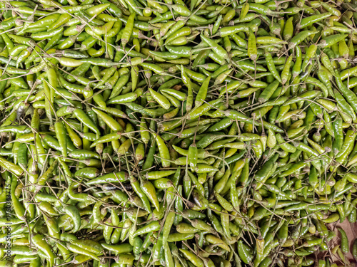 Fresh green chilies ready for harvest. A vibrant green chili pepper harvest. Fresh green chili peppers in large quantities. Green chilies piled together for sale. Raw green chilies on the market
