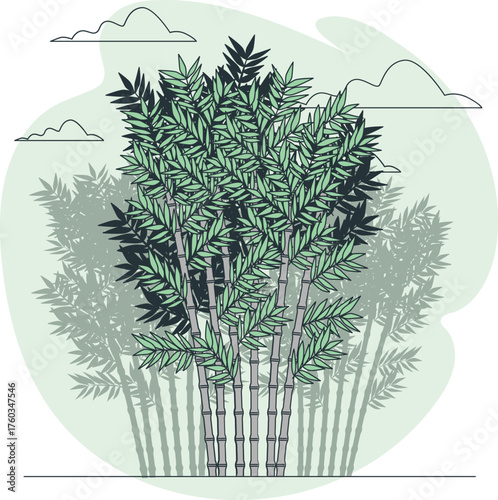Dense bamboo forest with tall stalks and lush green leaves under a cloudy sky plant vegetation
