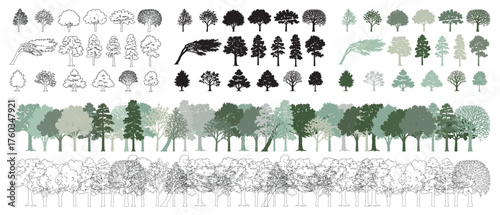 Architectural drawings, minimal style CAD tree line illustration, side view set of section and wetland forest outlines for landscape design, vector illustration in separate elements