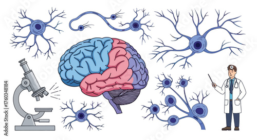 Brain Anatomy Neuron Cells Microscope and Medical Professional for Neuroscience Study.