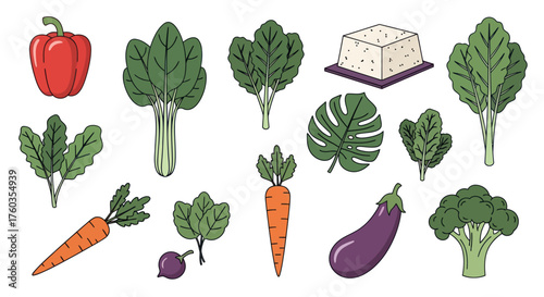 Assortment of Fresh Vegetables and Tofu Including Bell Pepper Spinach Carrot Broccoli Eggplant and Beet.