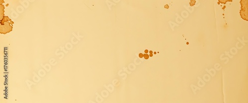 Close-up of aged, textured vellum sheet showing subtle creases and discoloration, vintage, history