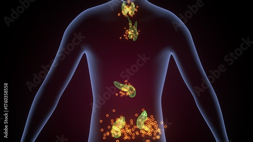 Human glands anatomy. 3d illustrations