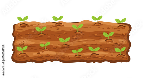 Cartoon Illustration of Seedlings Growing in Rich Brown Soil.