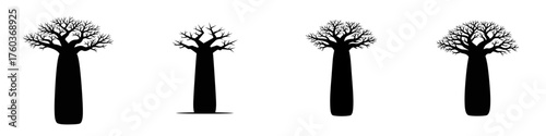Four silhouettes of baobab trees, each with a thick trunk and sparse branches, set against a white background.