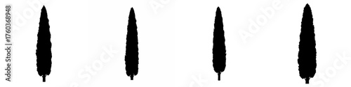 A minimalist graphic illustration of four tall, slender cypress tree silhouettes in a row on a white background.