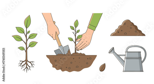 Illustration of a Young Plant Being Planted in Soil with Tools.