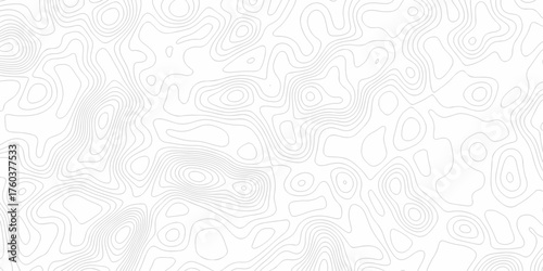 Minimal white line geometric grid outline curve counter map and wavy topography relief discovery area white, black line texture background.	
