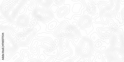 Minimal white line geometric grid outline curve counter map and wavy topography relief discovery area white, black line texture background.	
