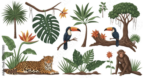 A detailed collection of illustrated jungle animals and tropical plants including a leopard toucans and a monkey.