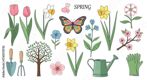 Colorful Spring Garden Elements: Flowers Butterfly and Tools.