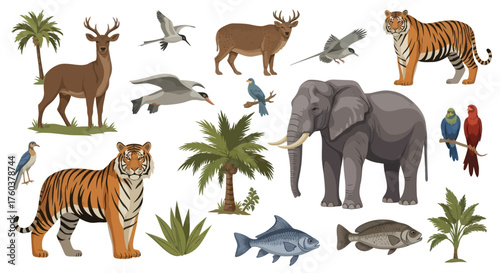Diverse Collection of Illustrated Wildlife and Tropical Plants.