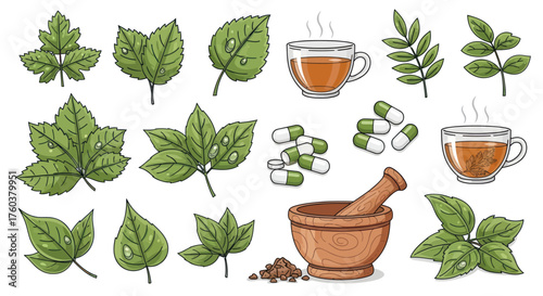 Herbal Medicine Ingredients Collection with Green Leaves Tea Cups Capsules and Mortar Pestle.