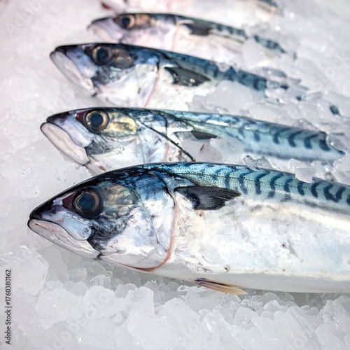 Several fresh, whole fish resting on a bed of glistening ice