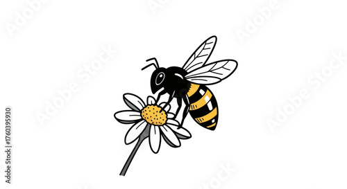 Cartoon Bee Pollinating White Daisy Flower Illustration.