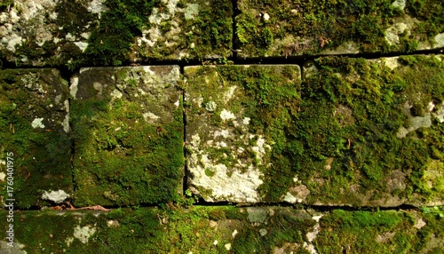 Stunning mossy stone wall background offers natural texture and vibrant green color, great for adding an organic touch to your creative projects
