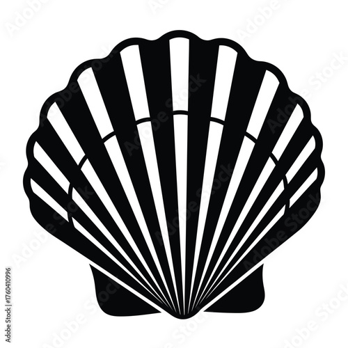 Black scallop shell white isolated