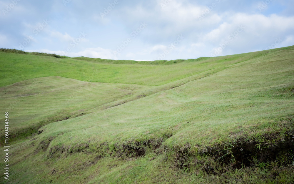 Obraz premium green field and blue sky