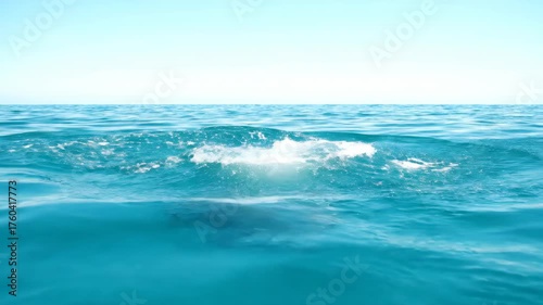 Coastal seascape showcases a marine mammal breaching the surface of the clear turquoise ocean under a cloudless bright blue sky on a sunny day, exhibiting aquatic wildlife behavior.