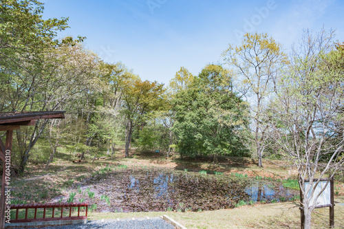 茨城　助川山市民の森のおむすび池（日立市）