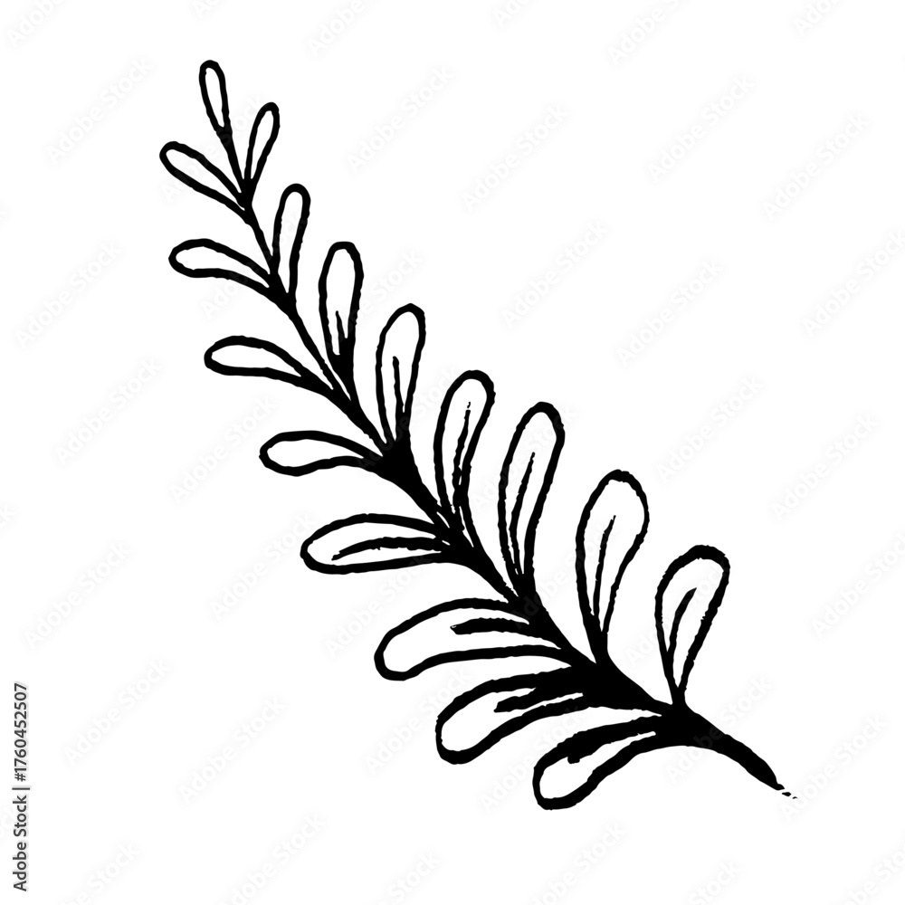 Naklejka premium Hand drawn botanical drawing. Doodle sketch vector illustration.