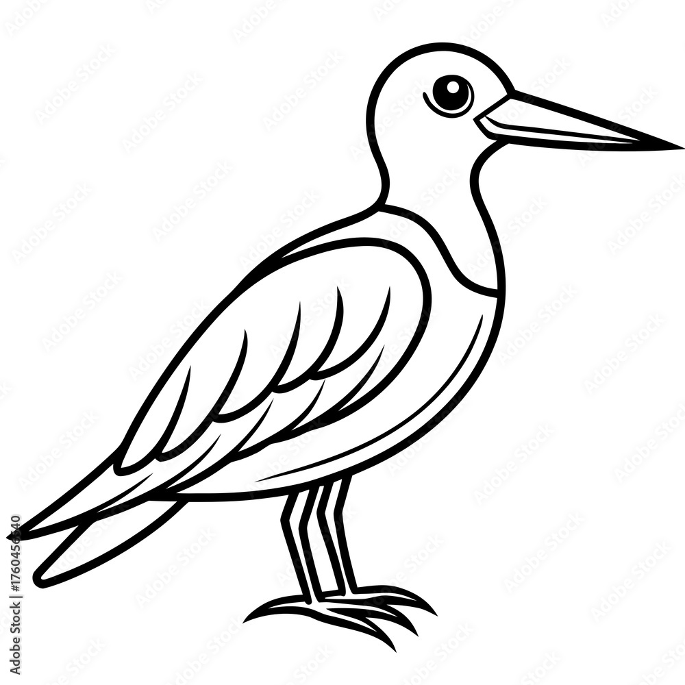 Obraz premium black and white bird