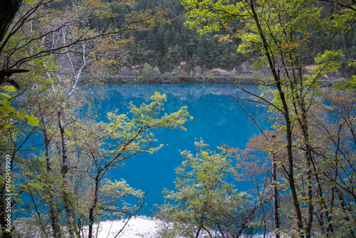 Clear lakes and forests