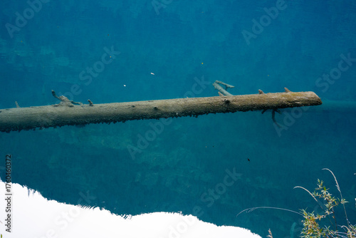 A clear lake