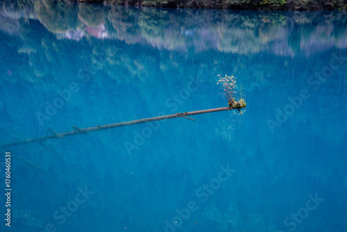 A clear lake