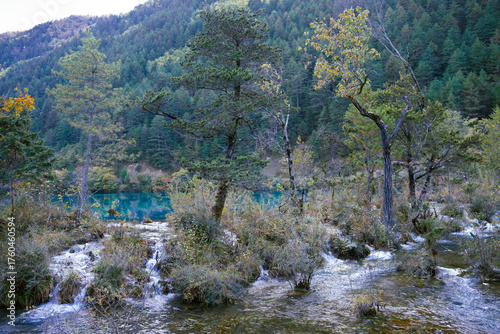 Clear flowing water in the wilderness