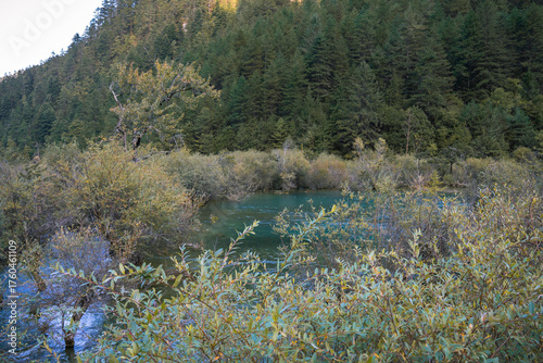 Clear flowing water in the wilderness