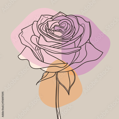 Line art illustration of rose flower with colorful abstract shapes  